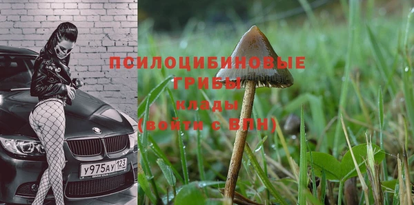 скорость mdpv Осташков