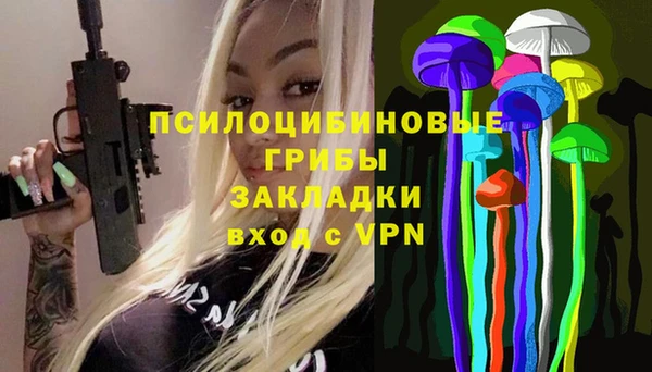 СК Осинники