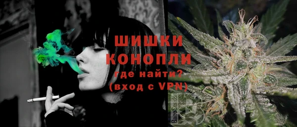 СК Осинники
