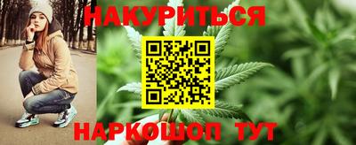 гашик Гусь-Хрустальный