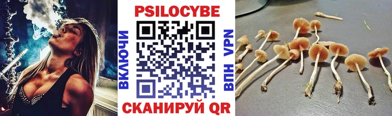 Галлюциногенные грибы мицелий Ейск