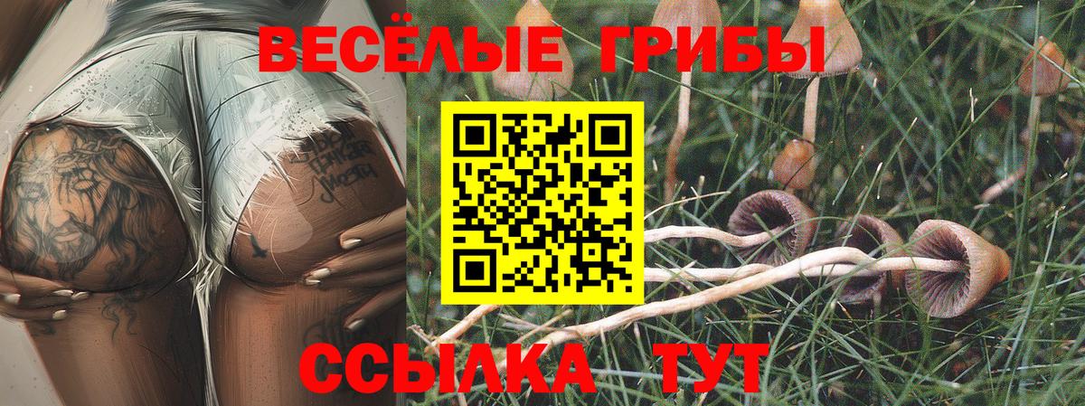 Ейск  Псилоцибиновые грибы Psilocybe  Вход с VPN  Галлюциногенные грибы Psilocybine cubensis 