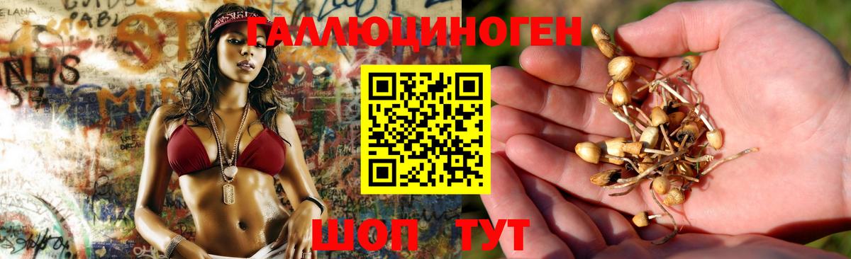 Галлюциногенные грибы Magic Shrooms  Галлюциногенные грибы GOLDEN TEACHER  Ейск 